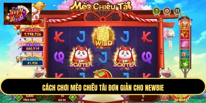 Cách chơi Mèo Chiêu Tài đơn giản