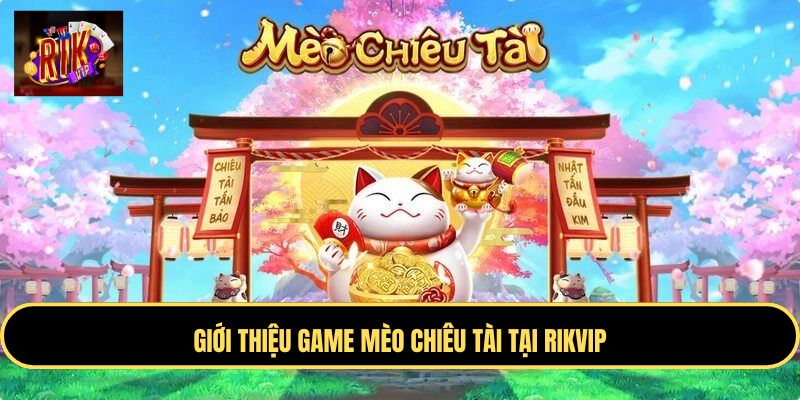 Giới thiệu game Mèo Chiêu Tài
